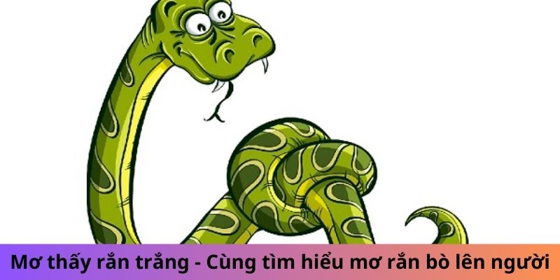 Mơ thấy rắn trắng - cùng tìm hiểu mơ rắn bò lên người