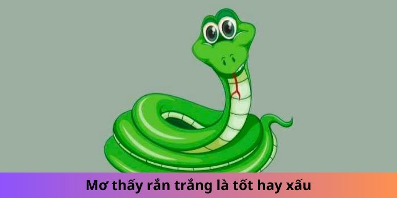 Mơ thấy rắn trắng là tốt hay xấu